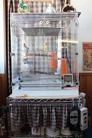 セキセイインコの保温用のアクリルケース