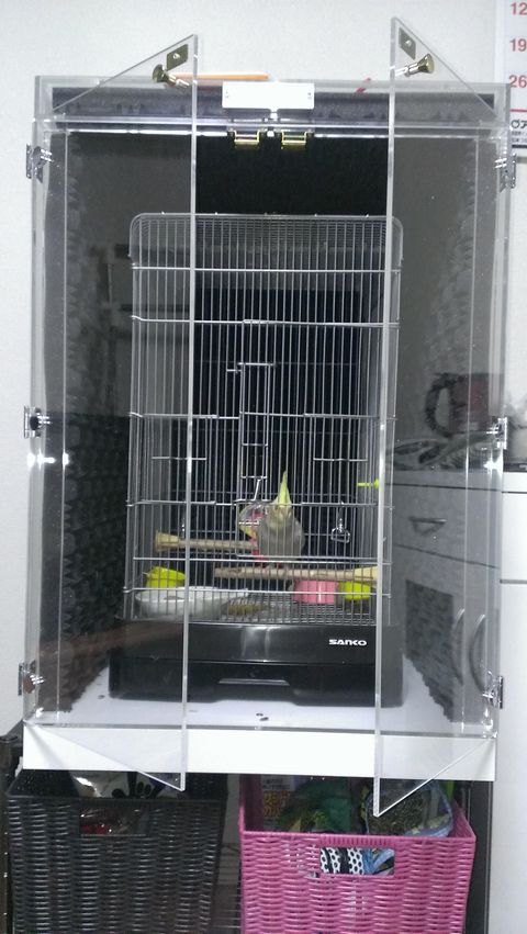 �I�J���C���R�̃A�N�����P�[�X�@�z���ނŖh��