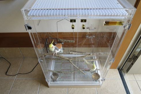 �A�N�����P�[�X�����ւɐݒu