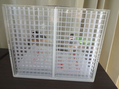 ���́A�A�N�������Ԗڃ��[�o�[