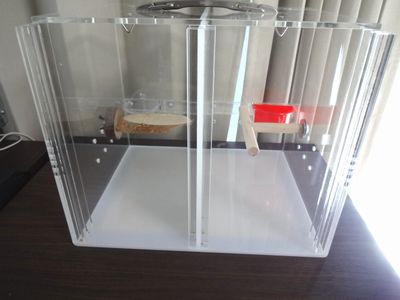 ���ꂼ��̕����ɃA�����W�\