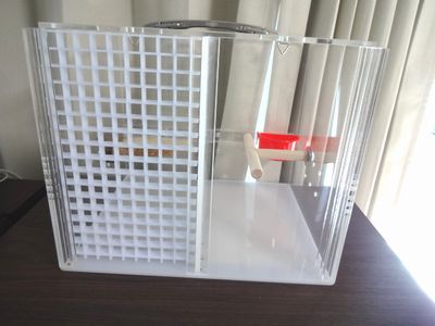 ���͂��ꂼ��ɊJ�\