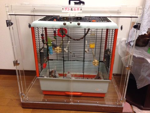 �����̒���������ꂽ�A�N�����P�[�X