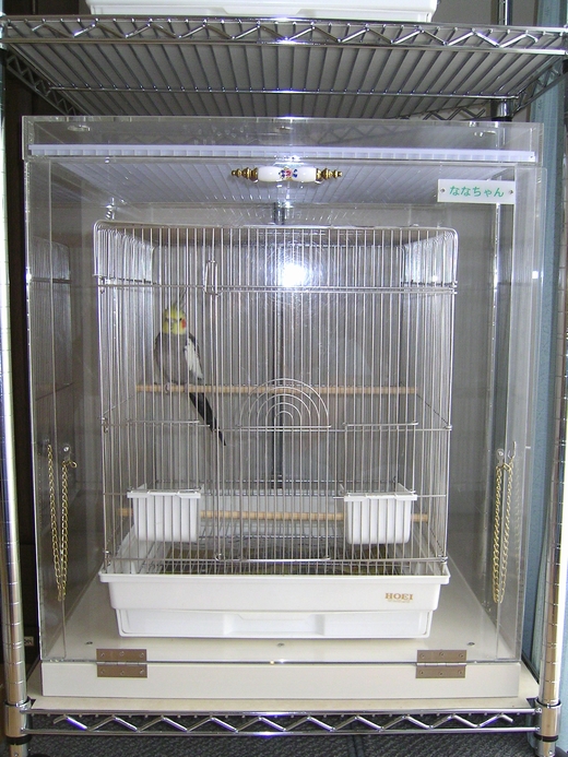 �I�J���C���R�̒���������ꂽ�A�N�����P�[�X