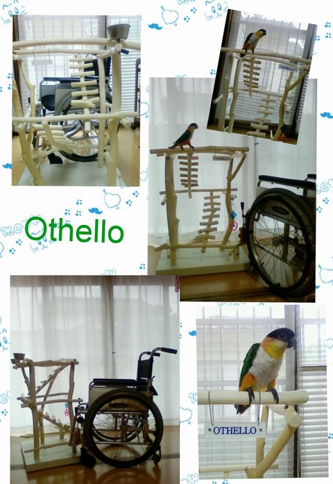 �Ԉ֎q�ƃo�[�h�W��