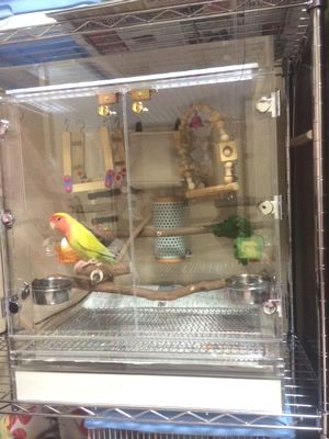 ���ɋ߂Â��A�o���Ă��炤�̂�҂R�U�N���C���R