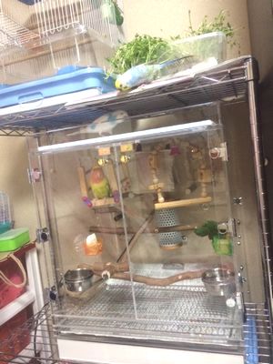 �A�N�����P�[�X�ŃR�U�N���C���R���犚�܂��̂�h��