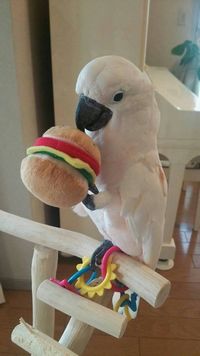 �I�I�o�^��