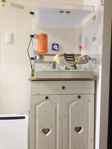 オカメインコのアクリルケース