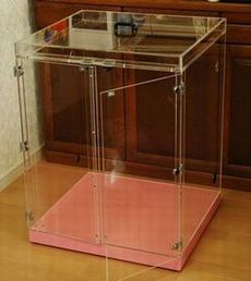 �C���R�p�̃A�N�����P�[�X