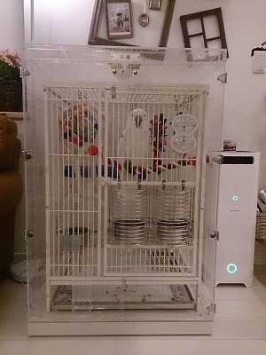 �I�E���̒���������ꂽ�A�N�����P�[�X