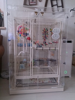 ��^�C���R�p�̃A�N�����P�[�X