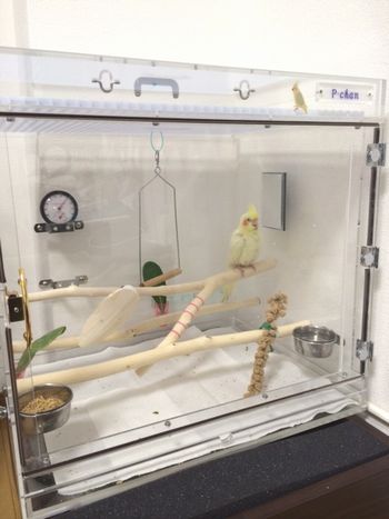 ���̑O�����C�ɓ���̏ꏊ