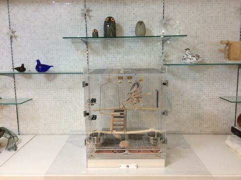 �u�e�B�b�N�̂悤�ȃ��C�A�E�g