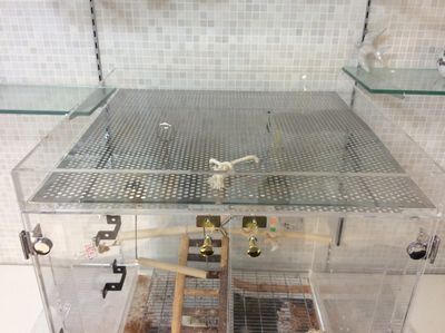 �V��̃p���`���O��