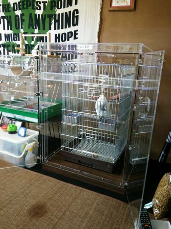 �p���_�R�J�g�D�̃A�N�����P�[�X