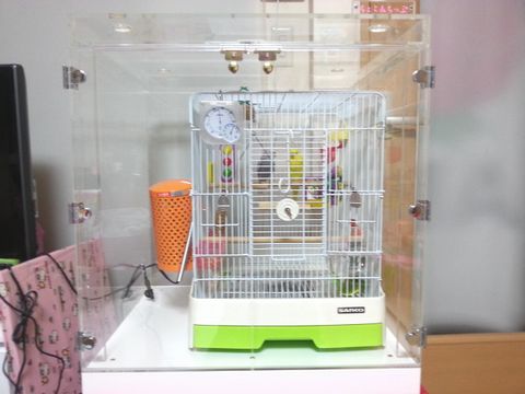 セキセイインコの鳥かごを入れたアクリルケース