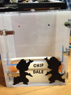 �C���R�̃L�����[�P�[�X