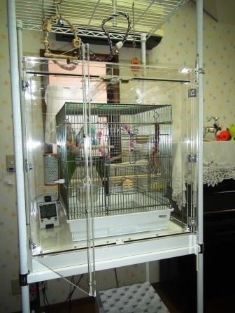 �E���R�C���R�̒���������ꂽ�A�N�����P�[�X