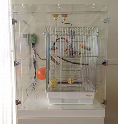 �C���R�̕ۉ��̂��߂̃A�N�����P�[�X