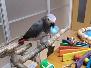 �~�܂�؃X�^���h�ł��т�҂��E��