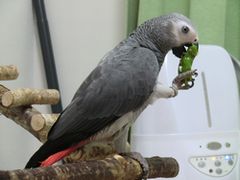 �}���������郈�E��