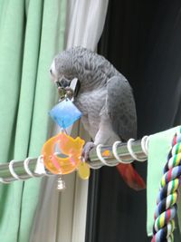 ��������ŗV�ԃ��E��