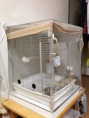 �ۉ��ɑ劈��