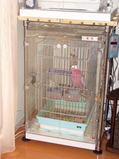 �����C���C���R�̒���������ꂽ�A�N�����P�[�X