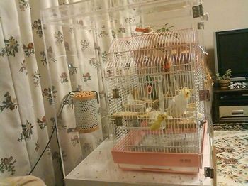 ���ʂɑ���