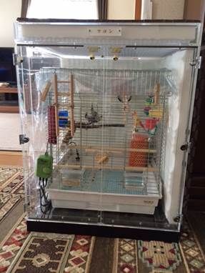 オカメインコの鳴き声を、吸音材で緩和