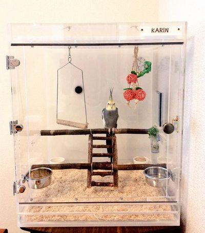 オカメインコのアクリルケース
