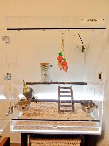 オカメインコのアクリルケース 裏から間接照明