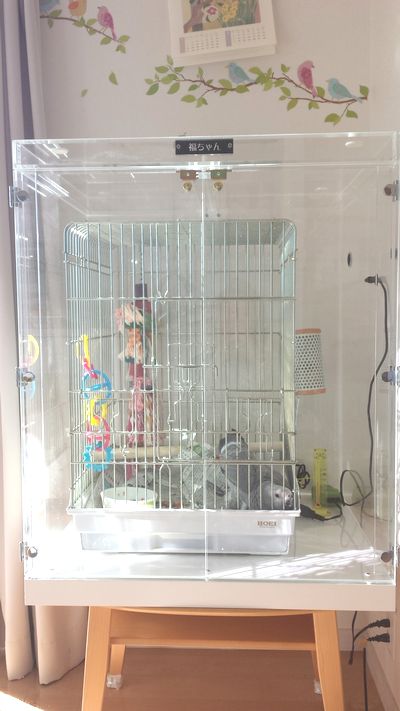 ���E���̃A�N�����P�[�X�@�ۉ��d�l