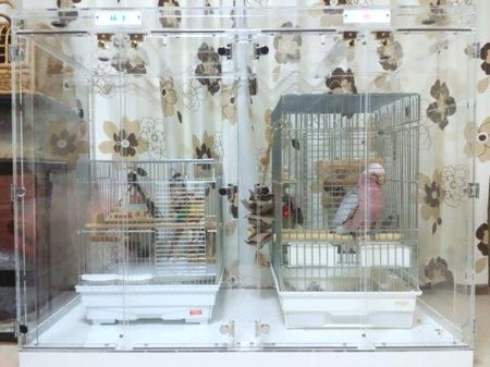 ��������2����[�A�N�����P�[�X