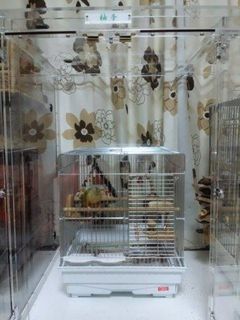 ���L�V�R�C���R