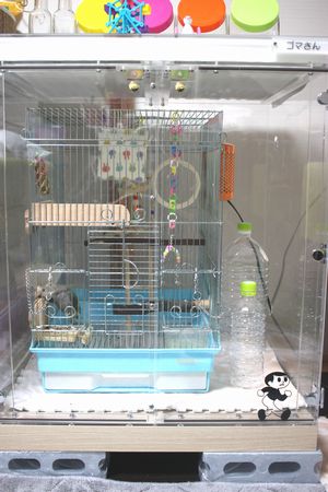 �Ă͓��点���y�b�g�{�g���A�~�̓y�b�g�q�[�^�[��