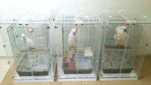 �I�E���̖����̖h���΍�@�A�N�����P�[�X