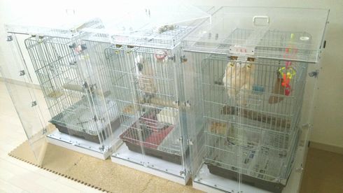 �I�E���̃A�N�����P�[�X3��