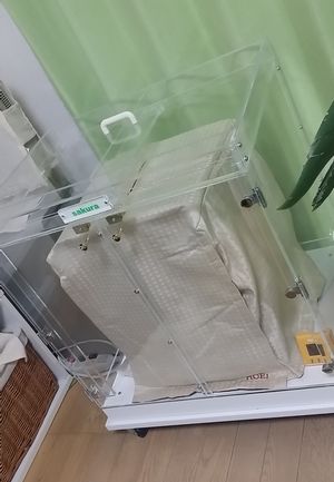 �������ɂ��x�݃J�o�[���|�����Ƃ���