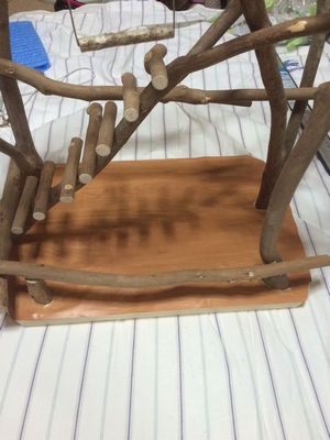 �o�[�h�W��