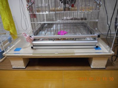 �A�N�����P�[�X�̉��̑�