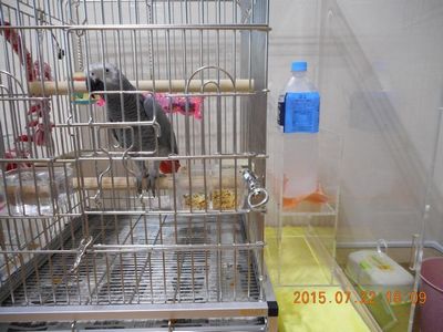 �������y�b�g�{�g����u�����j�b�g