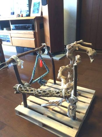 �T�{�e�����g�����o�[�h�W��