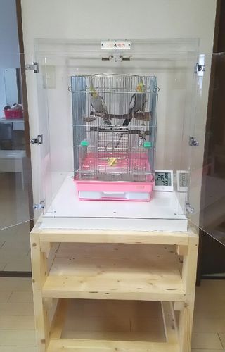 �I�J���C���R�̃A�N�����P�[�X�@�h���d�l