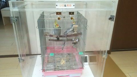 �ߏ�����̖������̑΍�