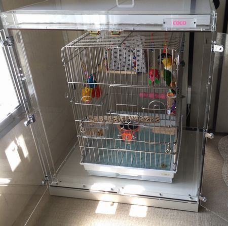 シロハラインコの鳥かごを入れたアクリルケース