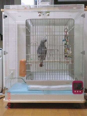 ���E���̒���������ꂽ�A�N�����P�[�X