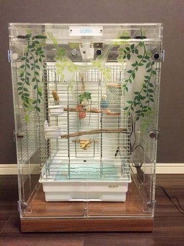 セキセイインコの鳥かごを入れたアクリルケース