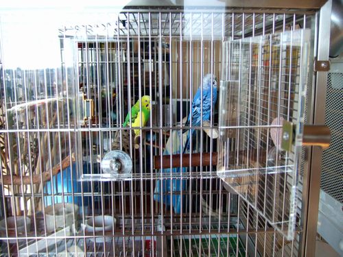 �A�N�����P�[�X�̏���